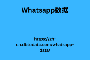  Whatsapp 数据